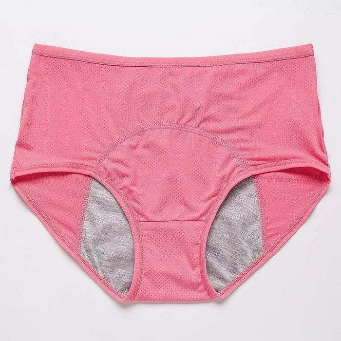 🔥Buy 1 Get 3 Free🔥 High-waisted Leak-proof Protective Panties