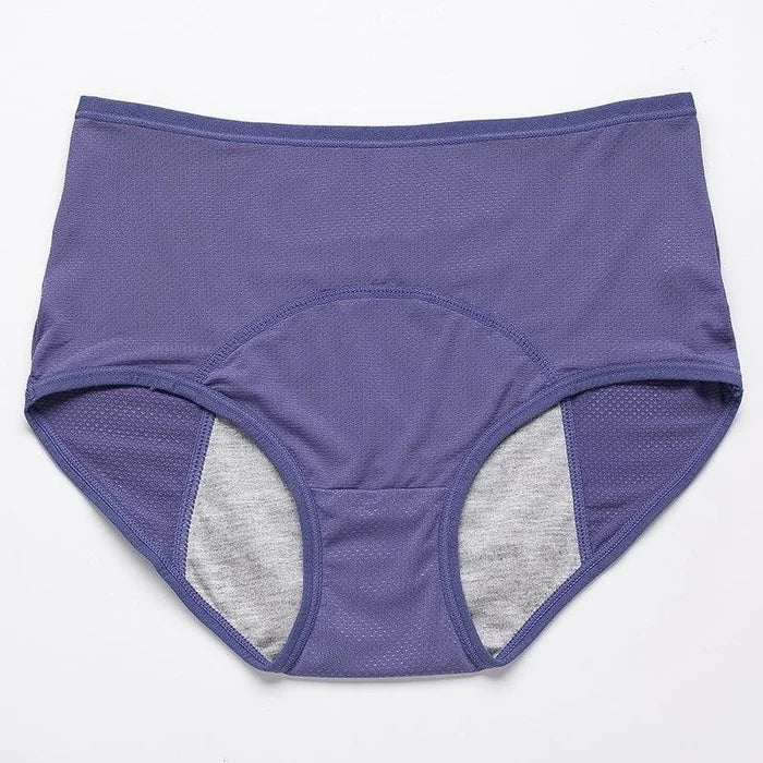 🔥Buy 1 Get 3 Free🔥 High-waisted Leak-proof Protective Panties