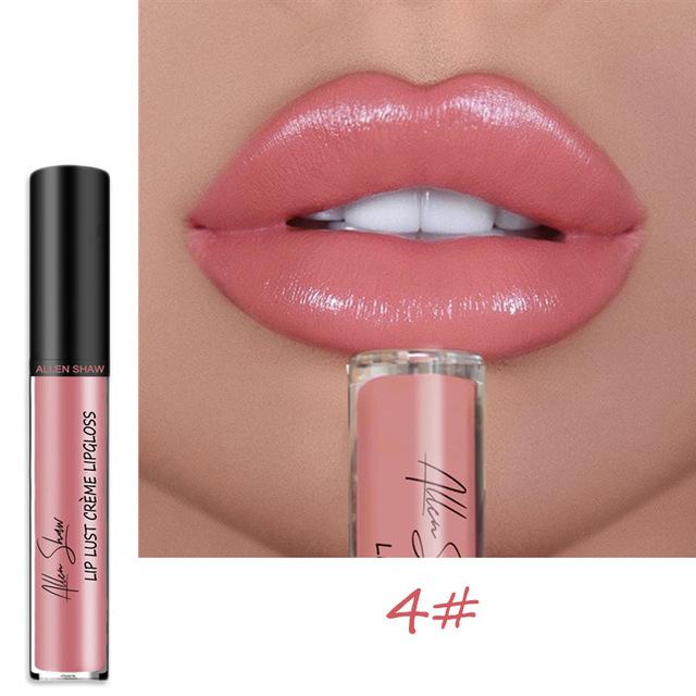 2025 NEW 12 Color Waterproof Long Lasting Moist Lip Gloss Plumper Liquid Lipstick