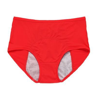 🔥Buy 1 Get 3 Free🔥 High-waisted Leak-proof Protective Panties