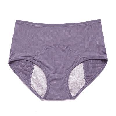 🔥Buy 1 Get 3 Free🔥 High-waisted Leak-proof Protective Panties