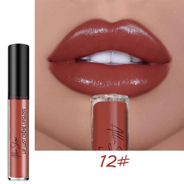 2025 NEW 12 Color Waterproof Long Lasting Moist Lip Gloss Plumper Liquid Lipstick