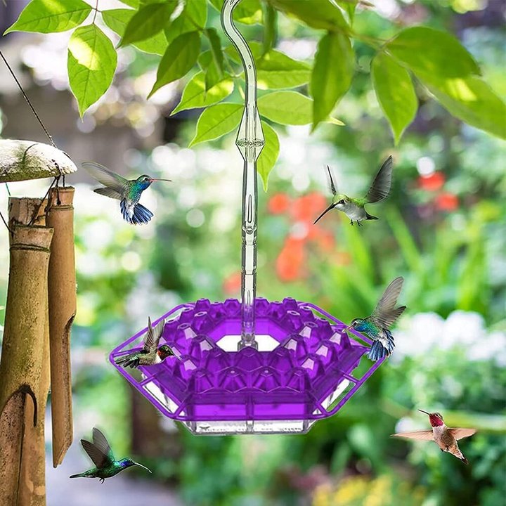 Mary s Hummingbird Feeder With Perch And Built in Ant Moat